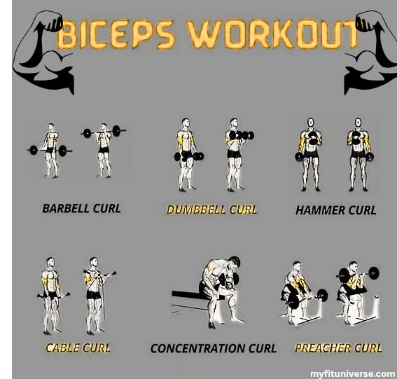 Biceps workout at home