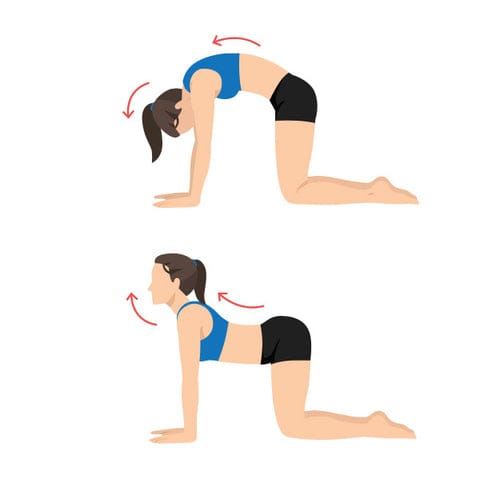 Pith dard ke liye exercise