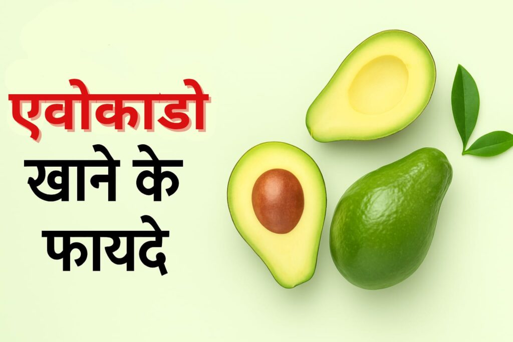 एवोकाडो फल के फायदे | Benefits of avocado in hindi