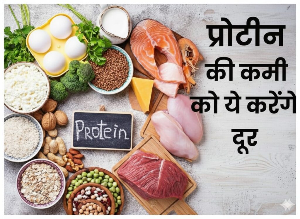 प्रोटीन युक्त आहार लिस्ट | Best protein food in hindi