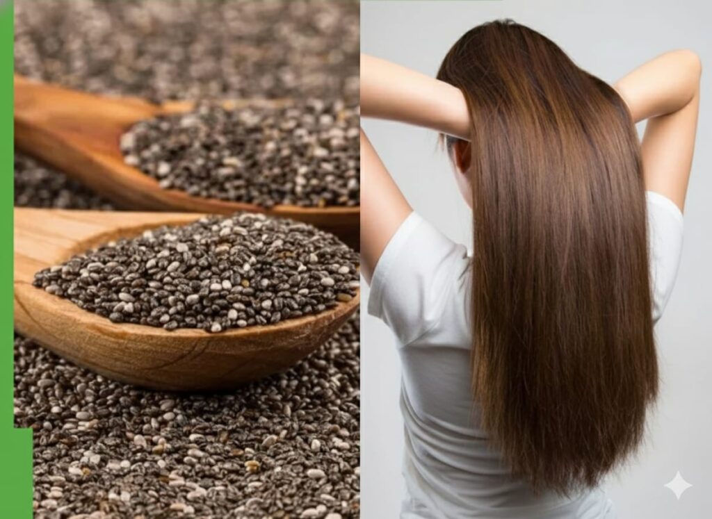 चिया सीड के फायदे और नुकसान | Chia seeds ke fayde in hindi