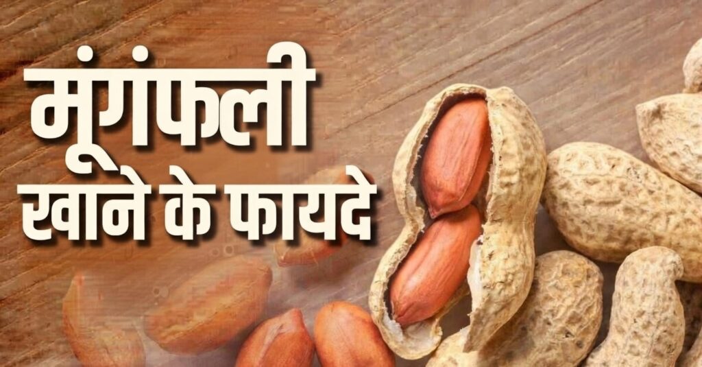 मूंगफली खाने के फायदे और नुकसान ( mungfali khane ke fayde )