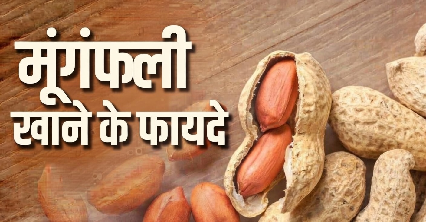 मूंगफली खाने के फायदे और नुकसान ( mungfali khane ke fayde )